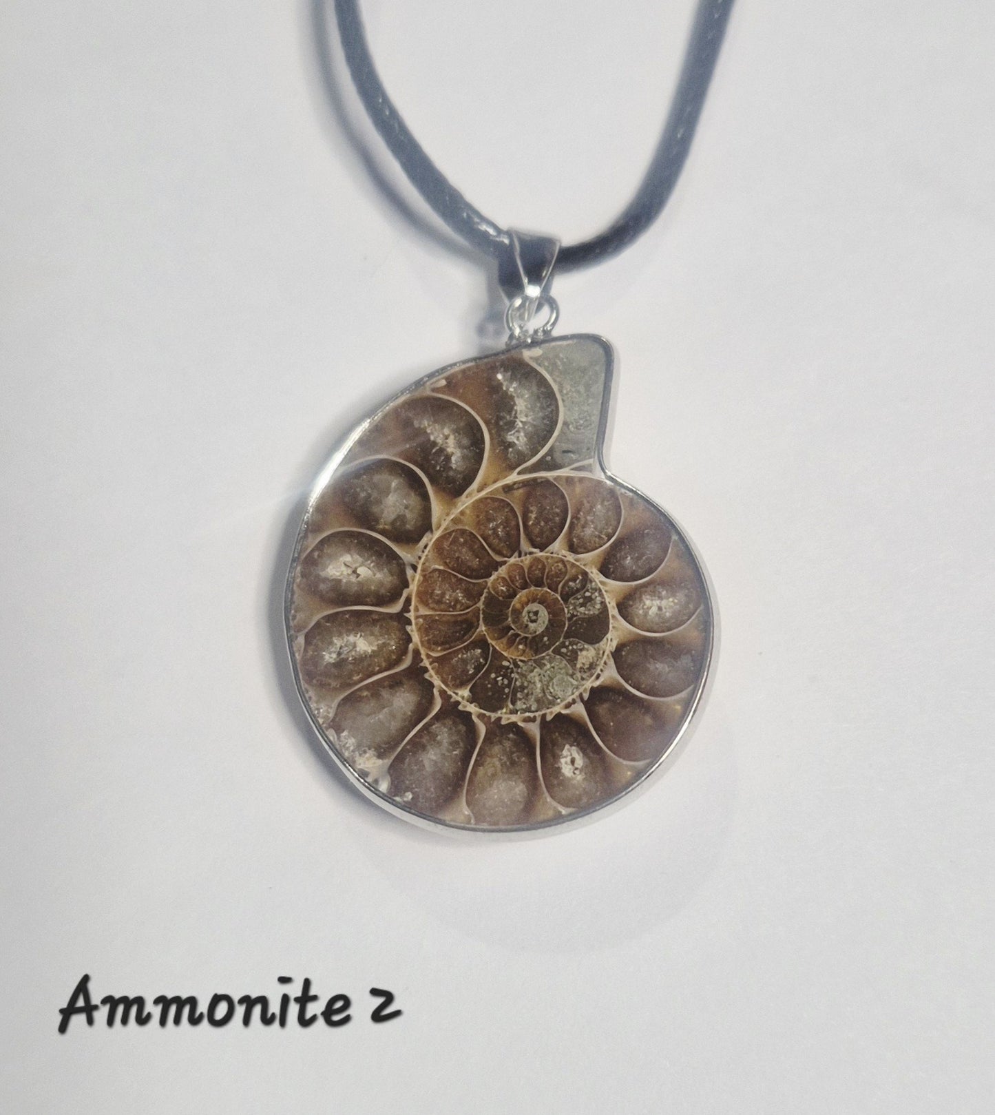 Ammonite Fossil Pendant Necklace