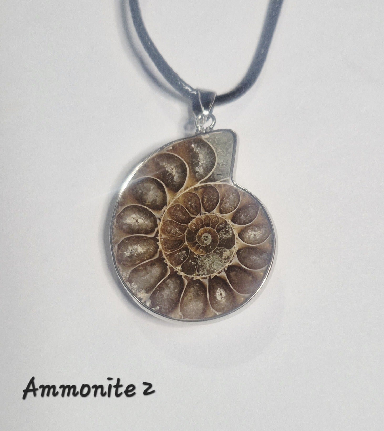 Ammonite Fossil Pendant Necklace