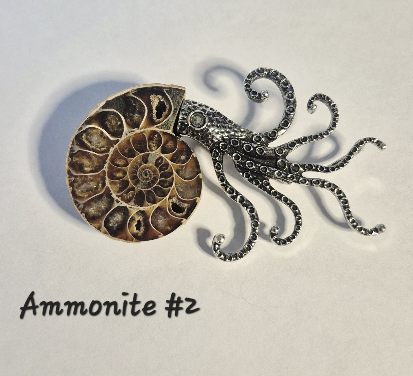 Ammonite Sea Creature Brooch
