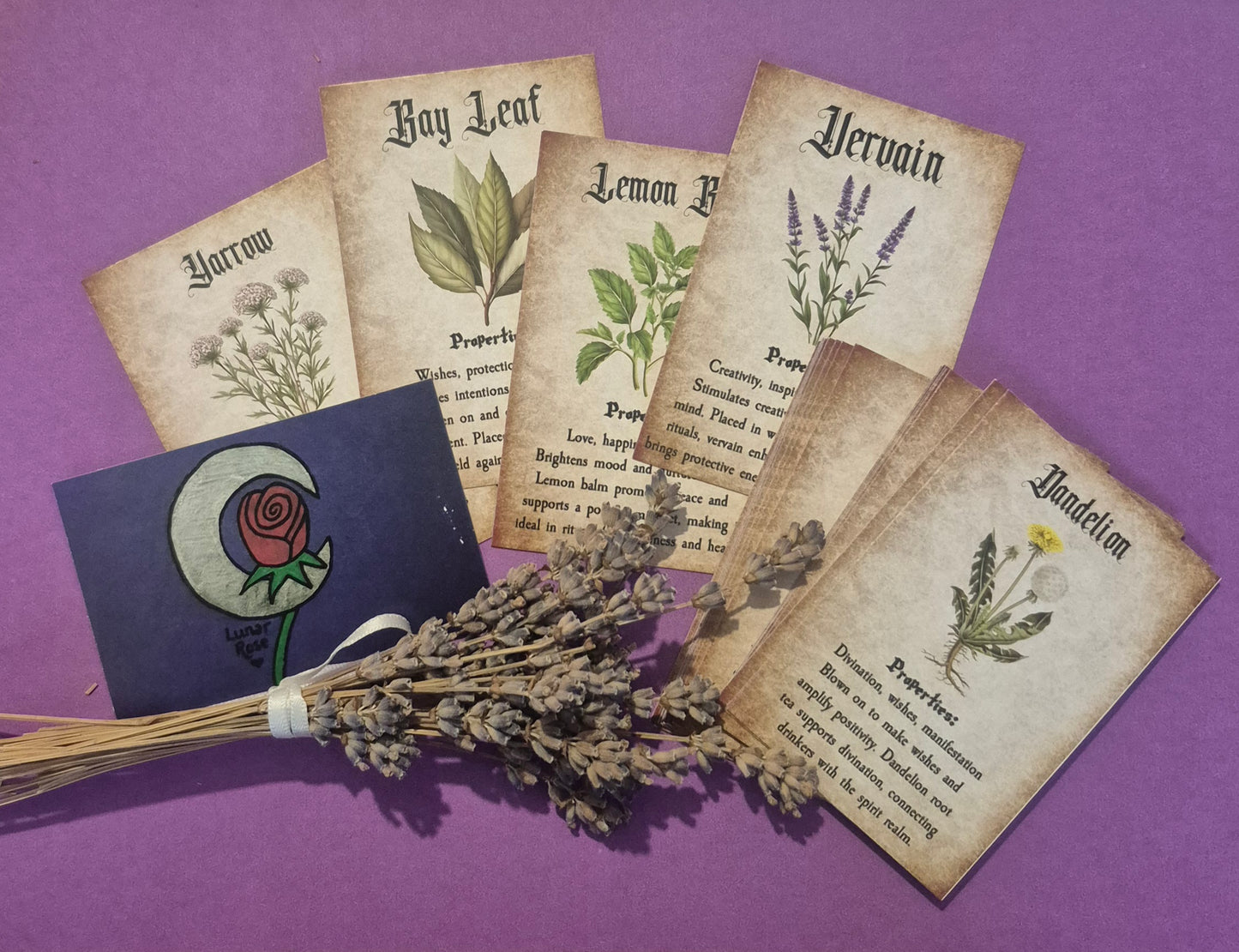 Herbal Wisdom Reference Cards