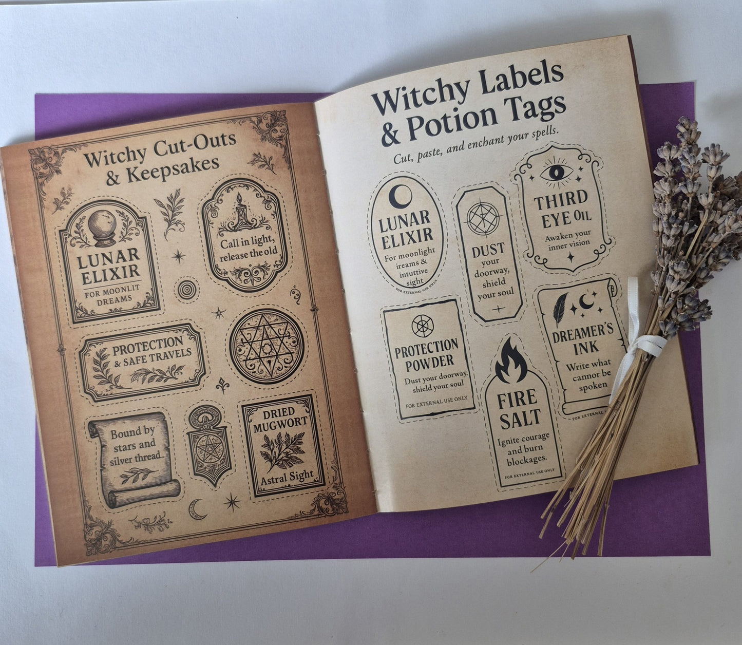 The Witch's Grimoire