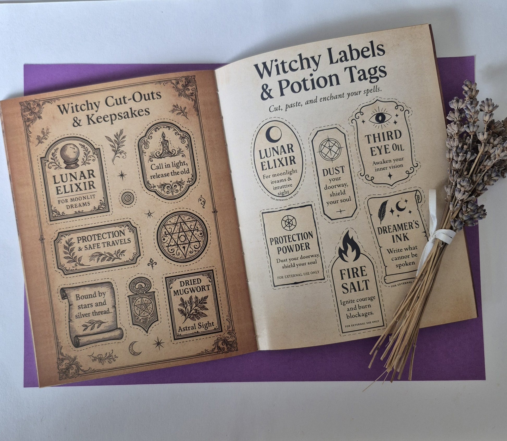 The Witch's Grimoire