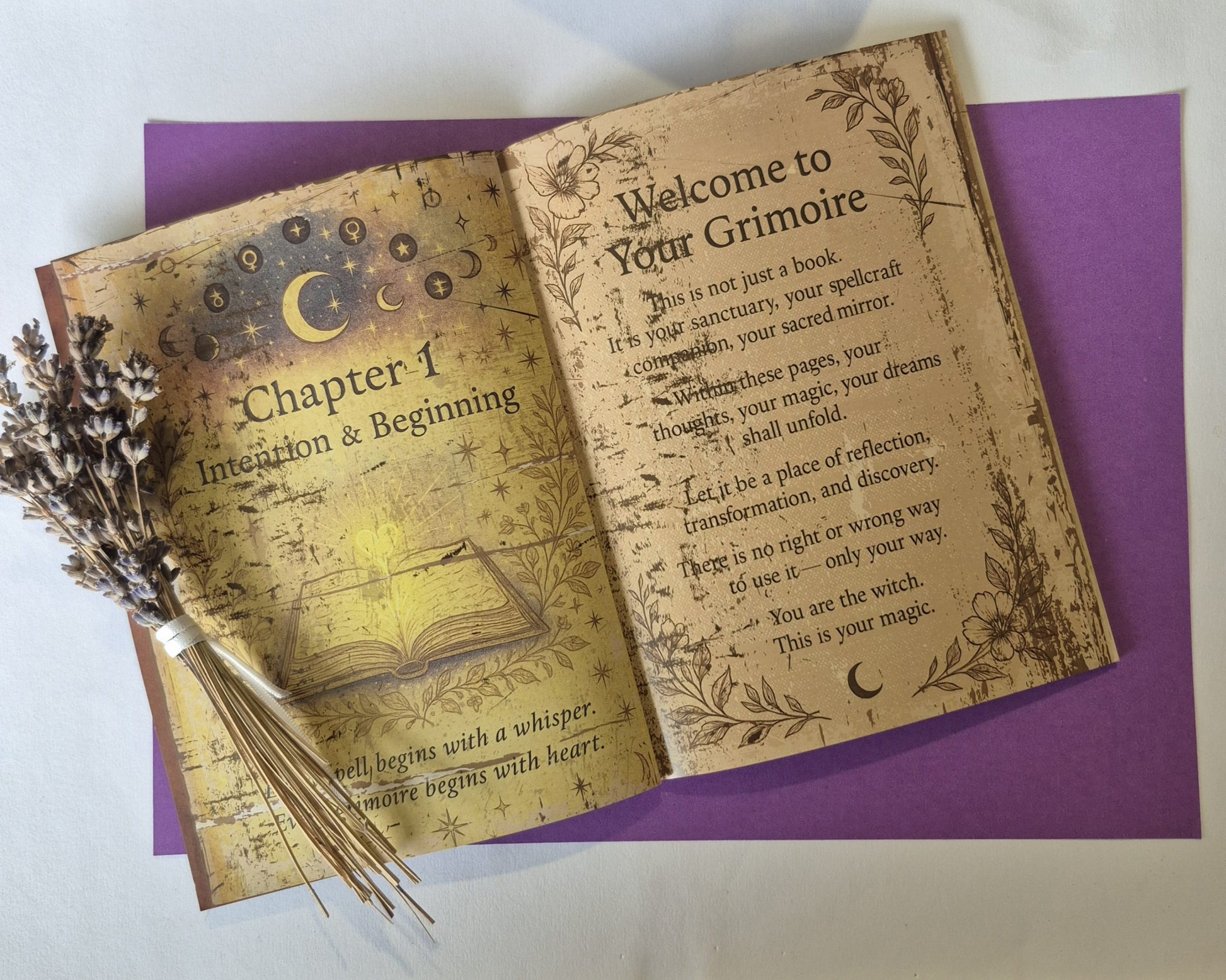 The Witch's Grimoire