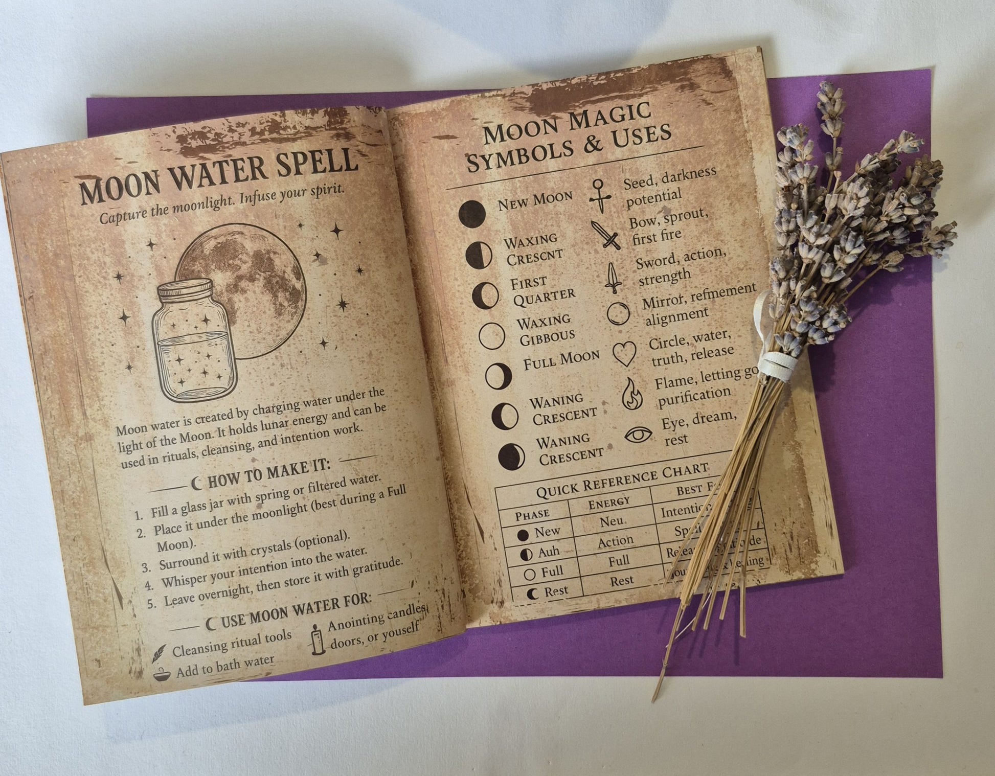 The Witch's Grimoire