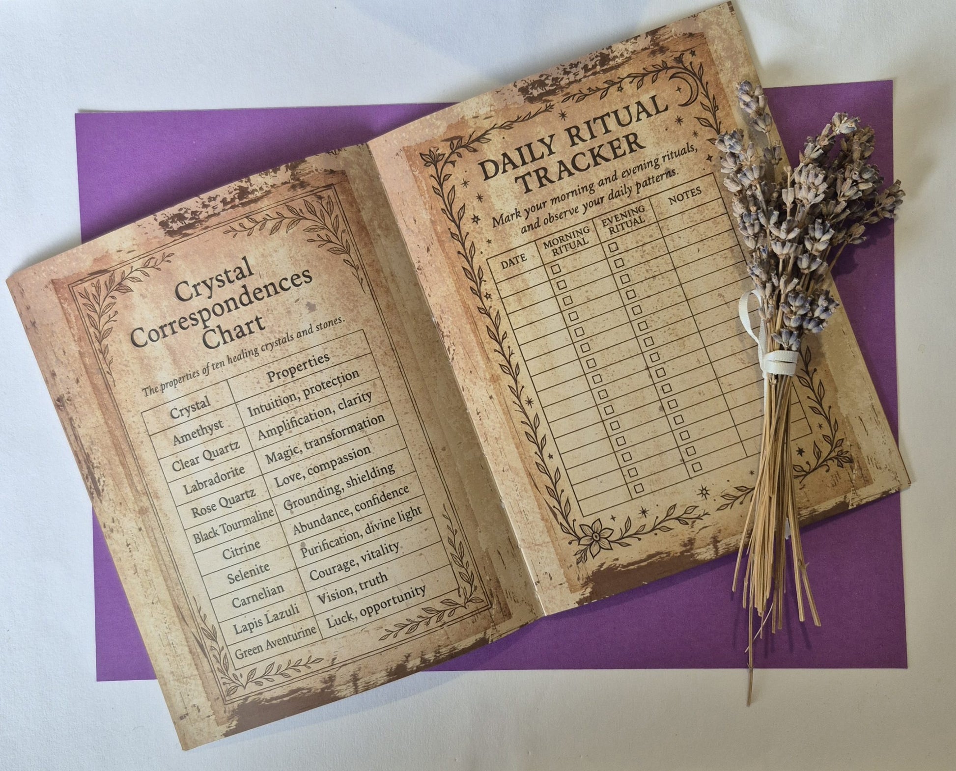 The Witch's Grimoire
