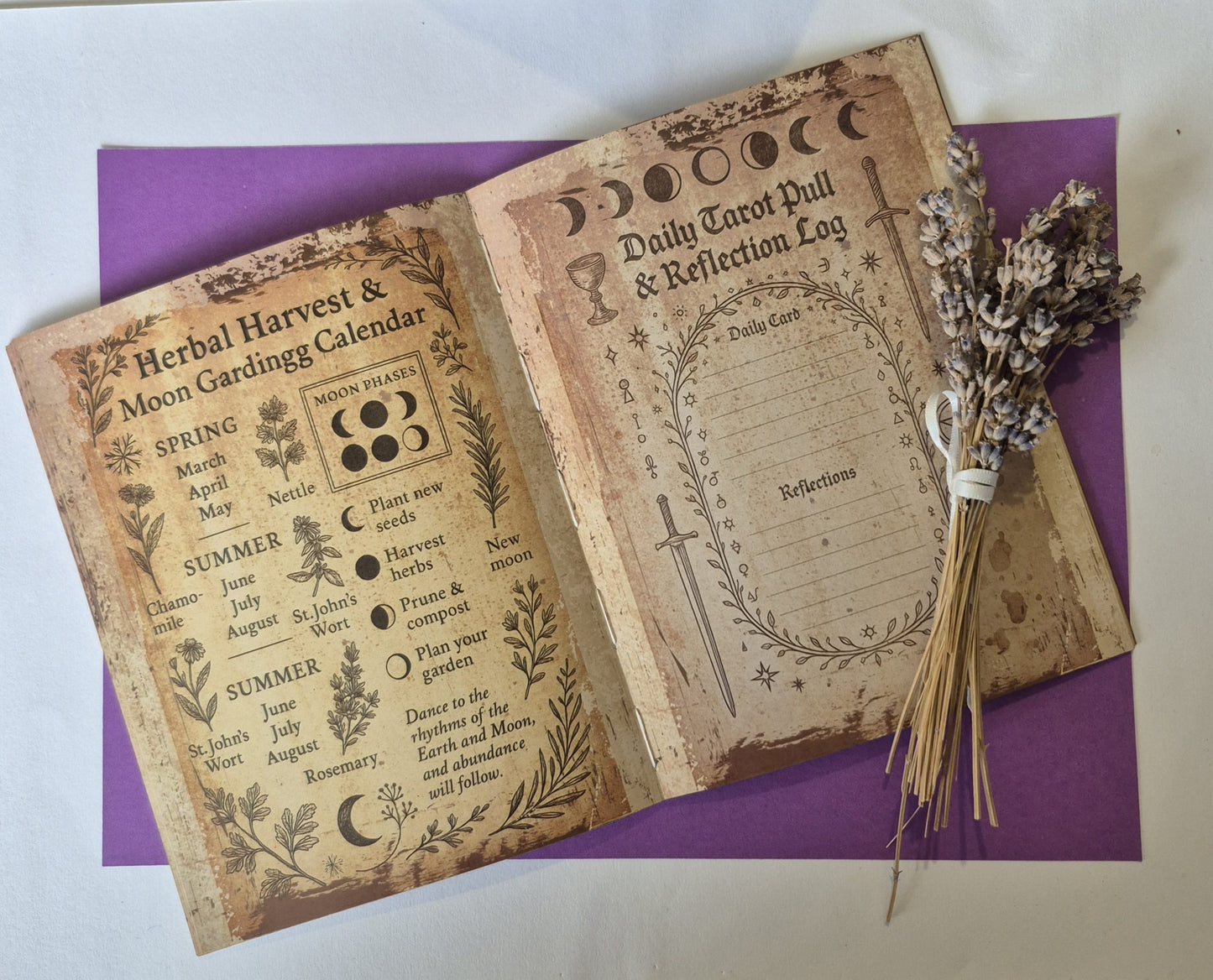 The Witch's Grimoire