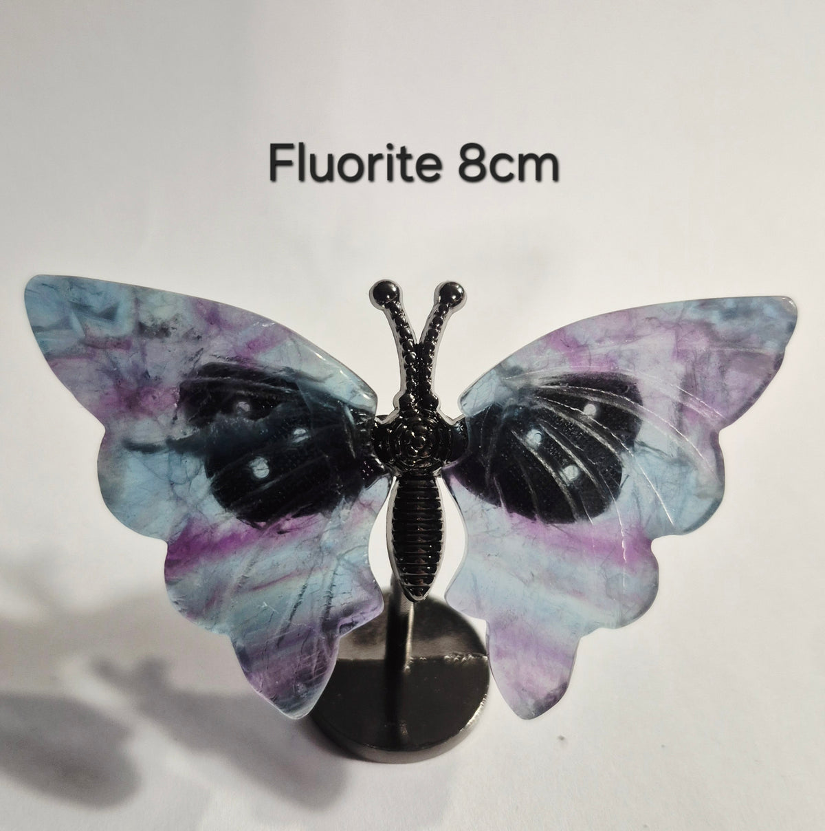 A butterfly-shaped fluorite piece displayed on a black stand against a plain white background, with the text 'Fluorite 8cm' above it.