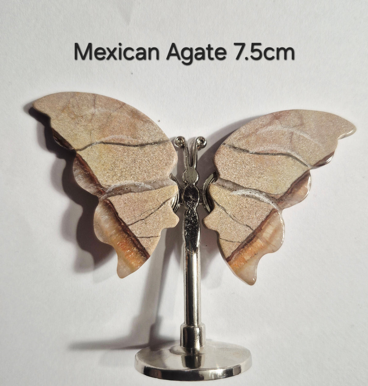 A Mexican Agate butterfly wing displayed on a silver stand against a white background, with the text 'Mexican Agate 7.5cm' printed above.