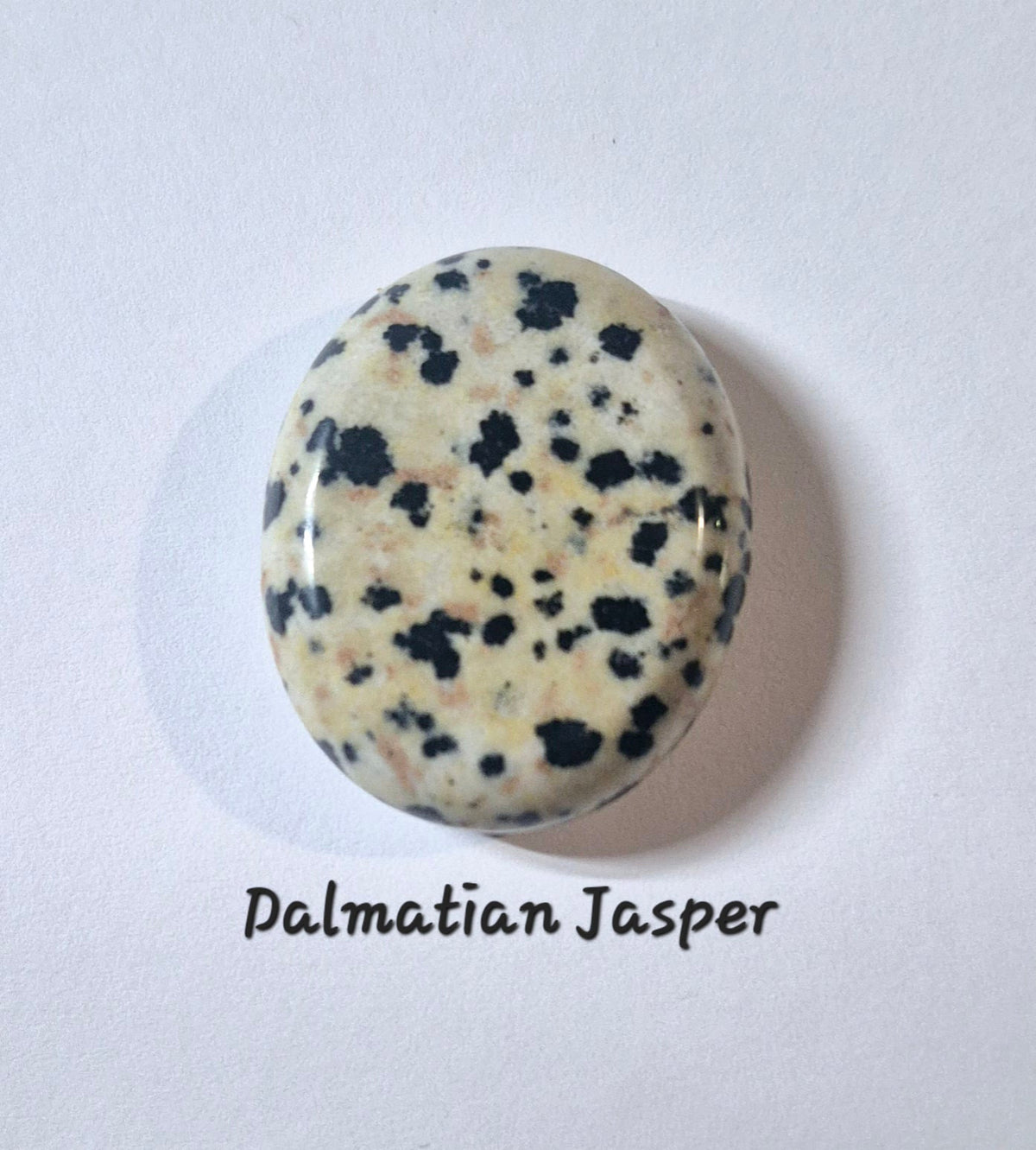 A polished oval worry stone of Dalmatian Jasper with a cream-colored base and black speckles, shown on a white background with the text 'Dalmatian Jasper' underneath.