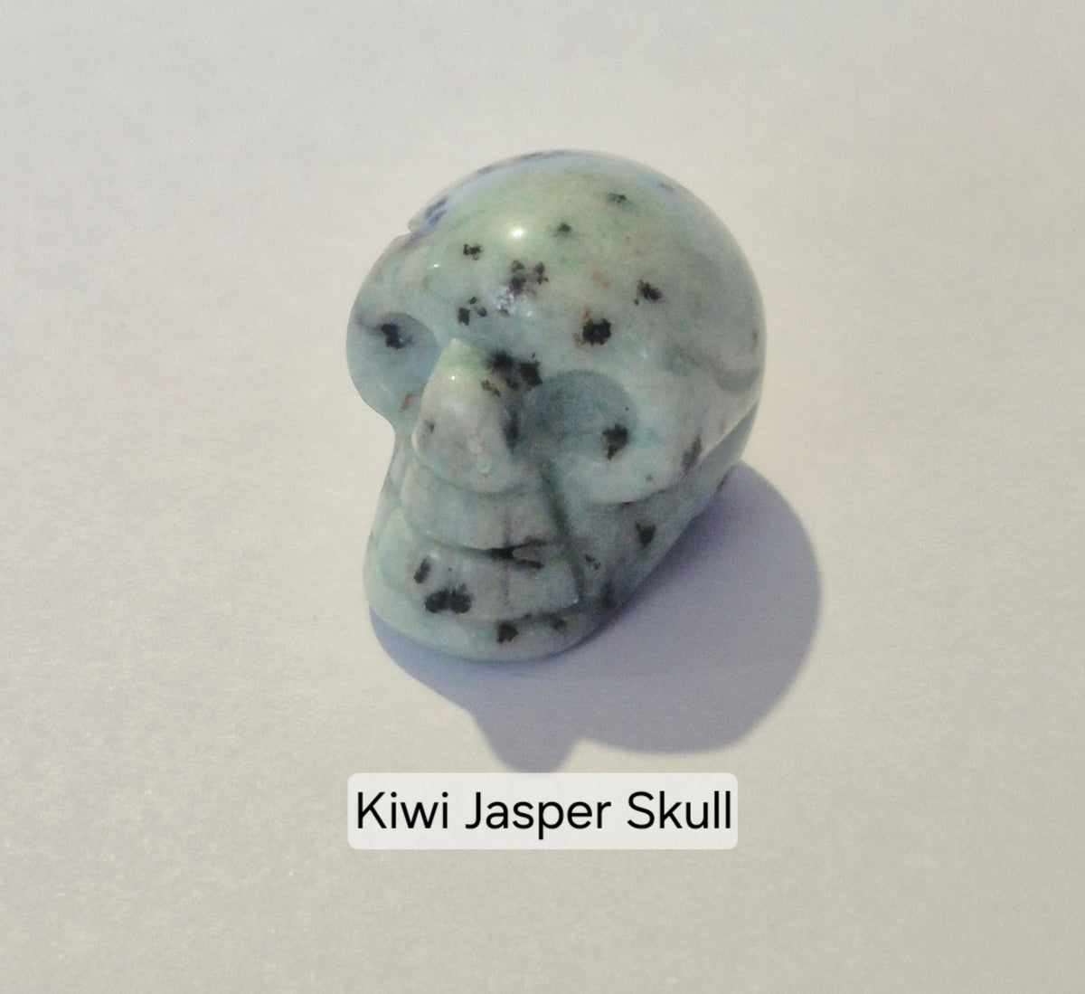 A carved Kiwi Jasper skull charm with a light greenish-blue base and dark brown to black matrix inclusions, displayed on a neutral light gray background with a text label overlay reading 'Kiwi Jasper Skull'.