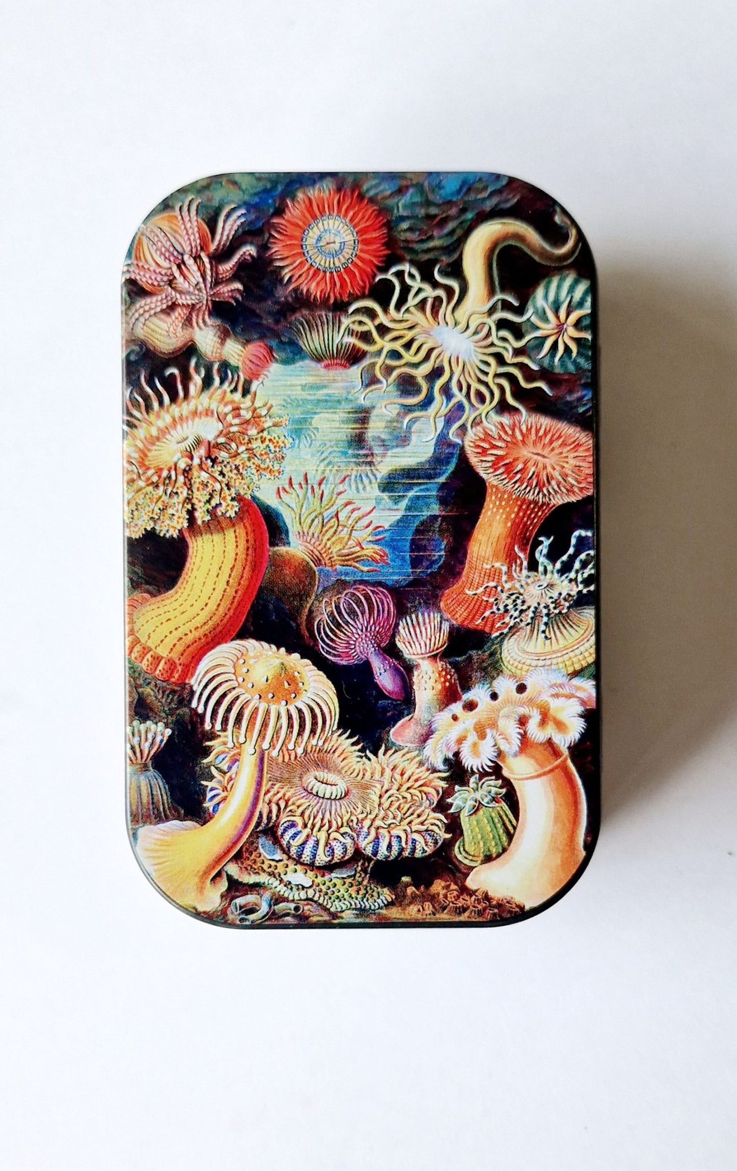 Metal Tobacco Tins