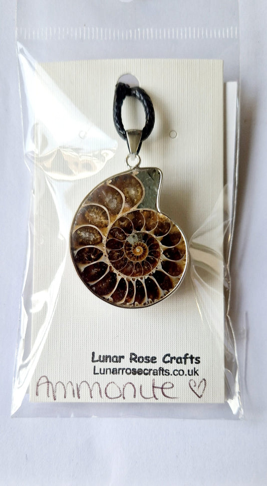 Ammonite Fossil Pendant Necklace